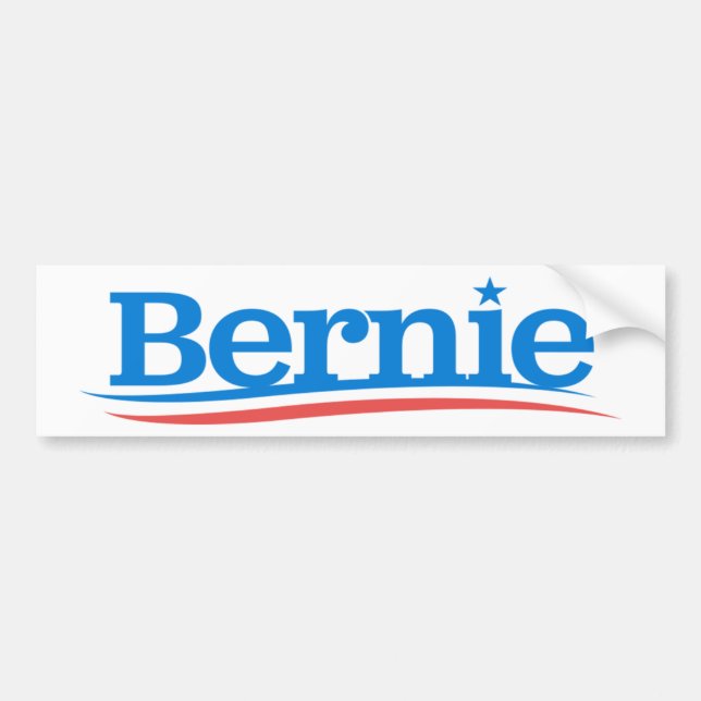 Adesivo Para Carro Logotipo Bernie (Frente)