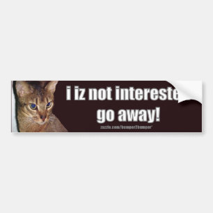 Adesivo Para Carro LOLCat 3 Bumpersticker