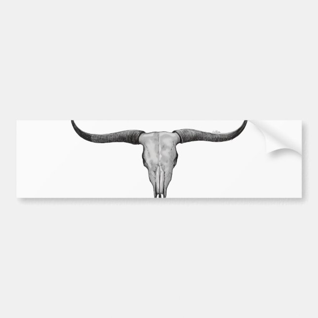 Adesivo Para Carro Longhorn Skull (Frente)