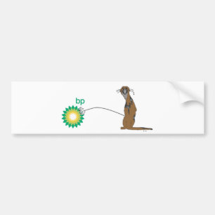 Adesivo Para Carro Lontra irritada