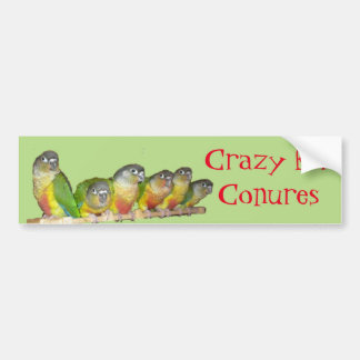 Adesivo Para Carro Louco para Conures!