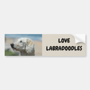 Adesivo Para Carro Love Labradoodles