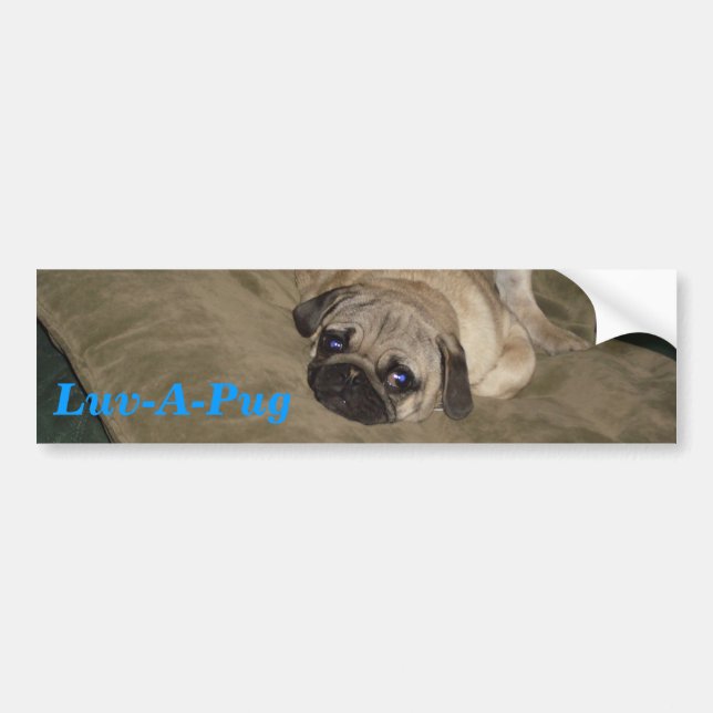 Adesivo Para Carro Luv-UM-Pug (Frente)