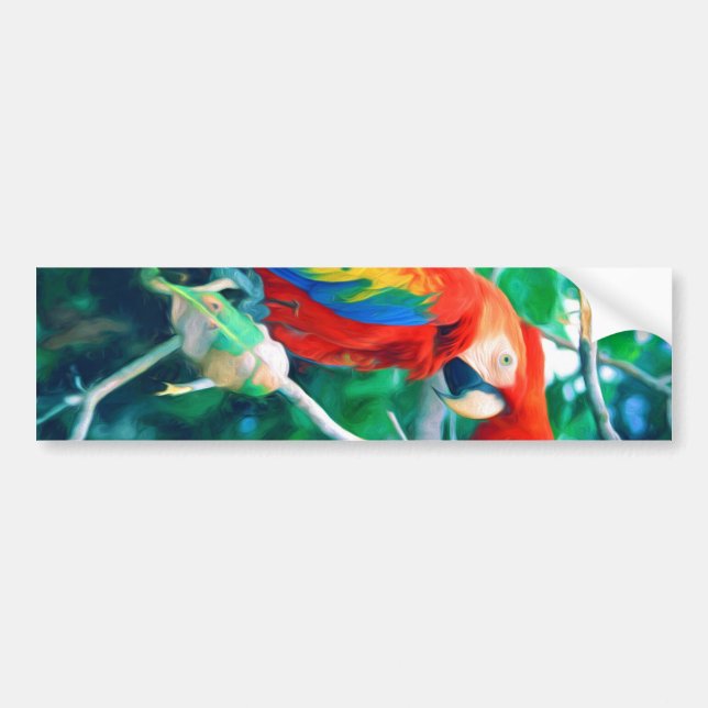 Adesivo Para Carro Macaw colorido (Frente)