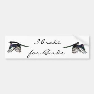 Adesivo Para Carro Magpie - Ave Aquarela