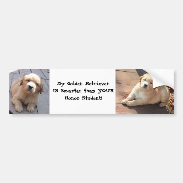 Adesivo Para Carro mais esperto do que um estudante da honra (Frente)