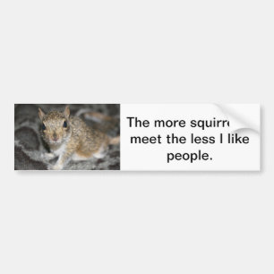 Adesivo Para Carro Mais squirrels menos pessoas