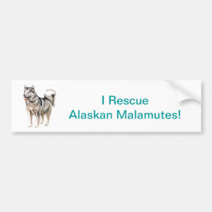Adesivo Para Carro Malamute do Alasca