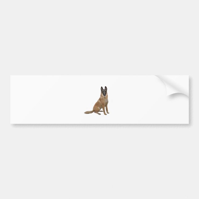 Adesivo Para Carro Malinois Belga (A) (Frente)