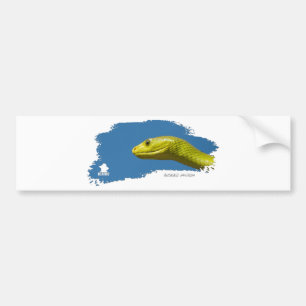 Adesivo Para Carro Mamba verde 01