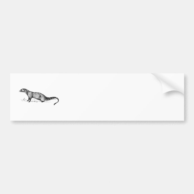 Adesivo Para Carro Mangusto (Frente)