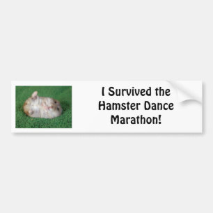 Adesivo Para Carro Maratona da dança do hamster