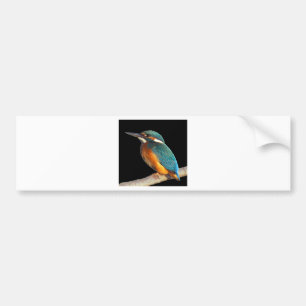 Adesivo Para Carro "Martinho pescatore "
