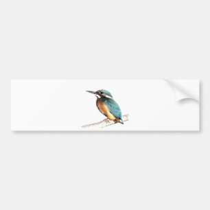 Adesivo Para Carro "Martinho pescatore "