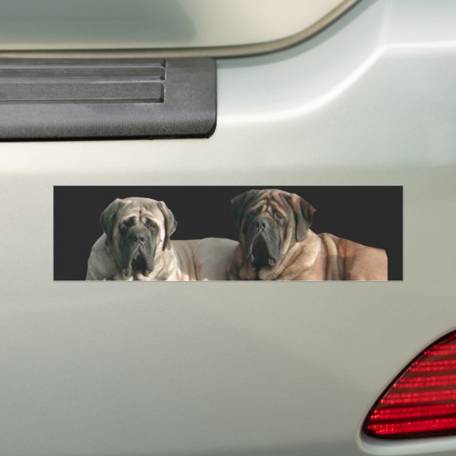 Adesivo Para Carro Mastiff Melhores Amigos (No carro)