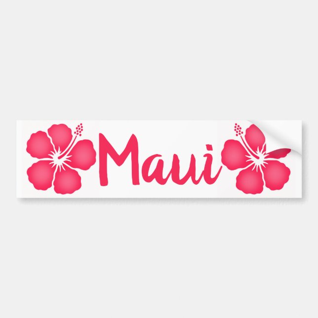 Adesivo Para Carro Maui Pink Hibiscus (Frente)