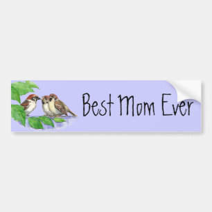 Adesivo Para Carro Melhor Mãe De Família Sparrow