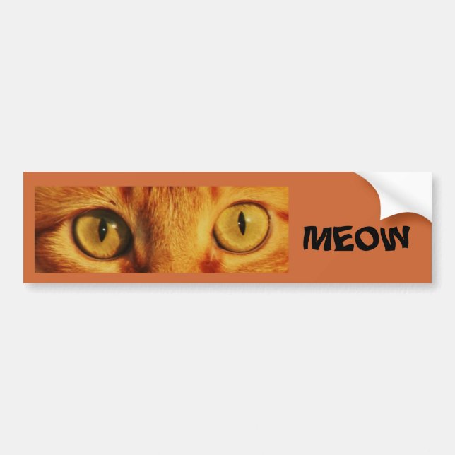 ADESIVO PARA CARRO MEOW (Frente)