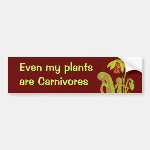 Adesivo Para Carro Mesmo minhas plantas são carnívoros