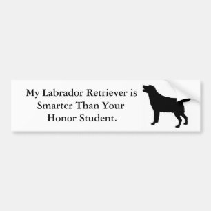 Adesivo Para Carro Meu labrador retriever é mais esperto