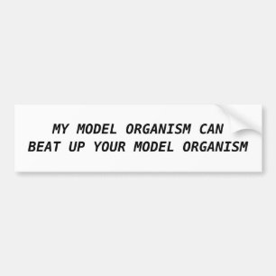 ADESIVO PARA CARRO MEU ORGANISMO MODELO PODE BATER ACIMA SEU