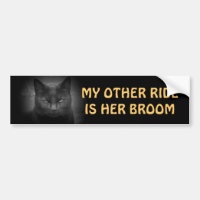 Meu outro passeio é sua vassoura - gato preto