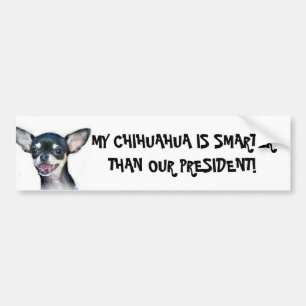 Adesivo Para Carro Minha chihuahua é um autocolante no vidro traseir