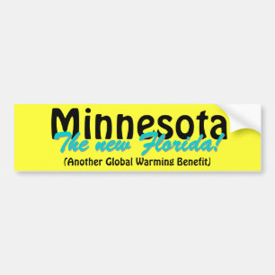 Adesivo Para Carro Minnesota o Florida novo