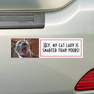 Adesivo Para Carro Modelo de Fotografia Personalizada de Kitten Engra