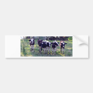 Adesivo Para Carro Moooooo