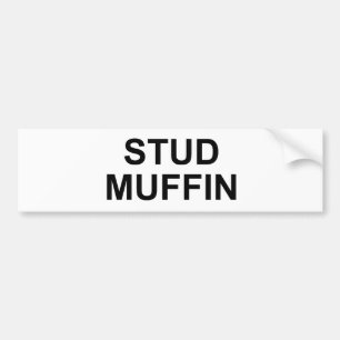 ADESIVO PARA CARRO MUFFIN DO PARAFUSO PRISIONEIRO