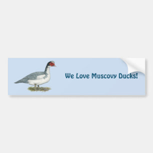 Adesivo Para Carro Muscovy Blue Pied Drake