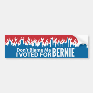 Adesivo Para Carro Não me responsabilize que eu votei para Bernie