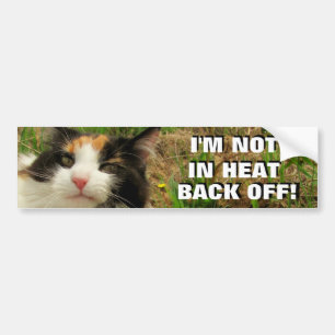 Adesivo Para Carro Não no calor, desembarace do gato de chita Meme