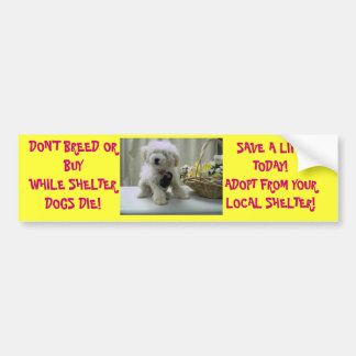 ADESIVO PARA CARRO NÃO PRODUZA NEM NÃO COMPRE! ADOTE