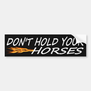 Adesivo Para Carro Não segure seus cavalos