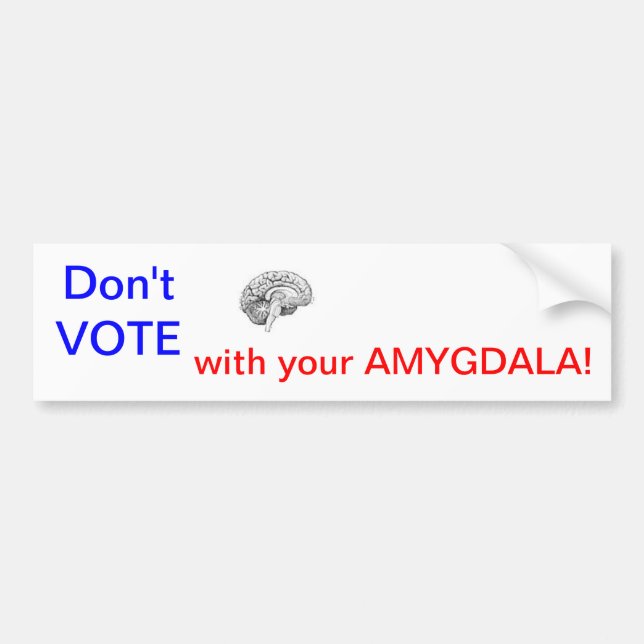 Adesivo Para Carro NÃO VOTE com seu AMYGDALA! (Frente)
