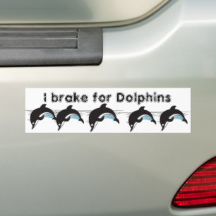Adesivo Para Carro Natação com golfinhos