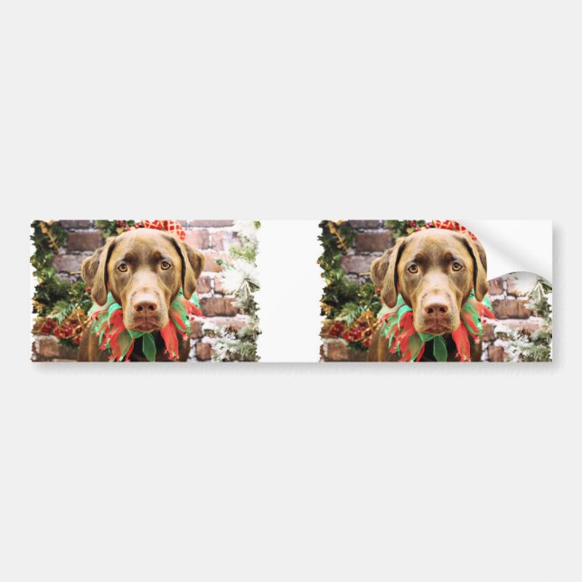 Adesivo Para Carro Natal - chocolate Labrador - Hershey (Frente)