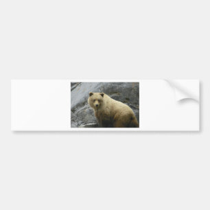Adesivo Para Carro Natureza do destino dos animais de Alaska do urso