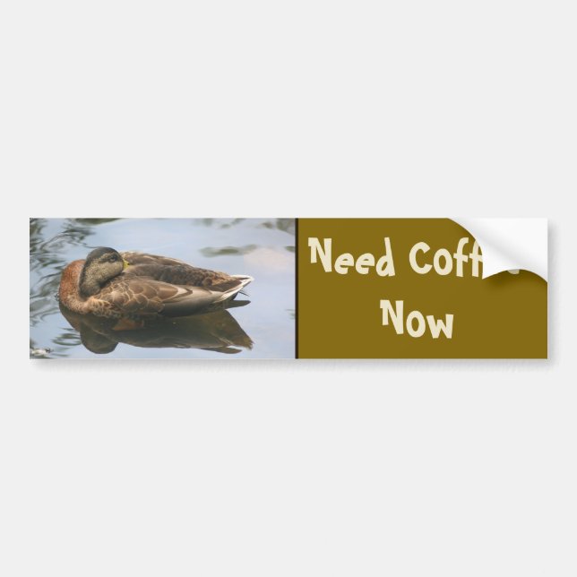 Adesivo Para Carro Need Coffee Funny Duck (Frente)