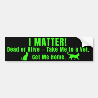 Adesivo Para Carro Neon Green "I Matter" Bumper Sticker