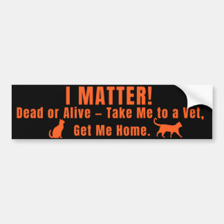 Adesivo Para Carro Neon Orange "I Matter" Bumper Sticker