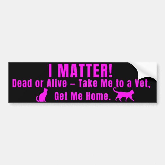 Adesivo Para Carro Neon Pink "I Matter" Bumper Sticker (Frente)