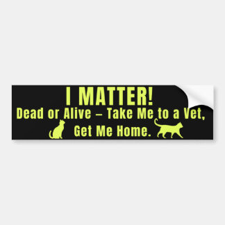 Adesivo Para Carro Neon Yellow "I Matter"