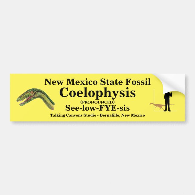 Adesivo Para Carro New Mexico State Fossil Bumper Sticker (Frente)