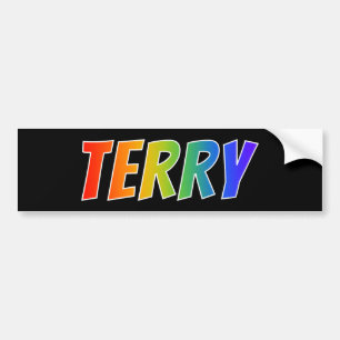 Adesivo Para Carro Nome "TERRY": Coloração do arco-íris do
