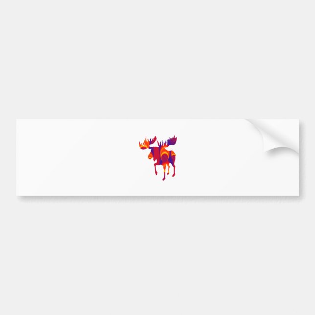 ADESIVO PARA CARRO NORTE POR OESTE (Frente)