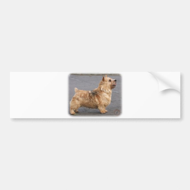 Adesivo Para Carro Norwich Terrier (Frente)