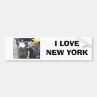 ny-bum00 [1], EU AMO NEW YORK